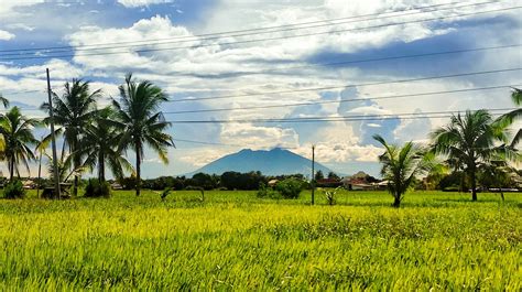 bukid .